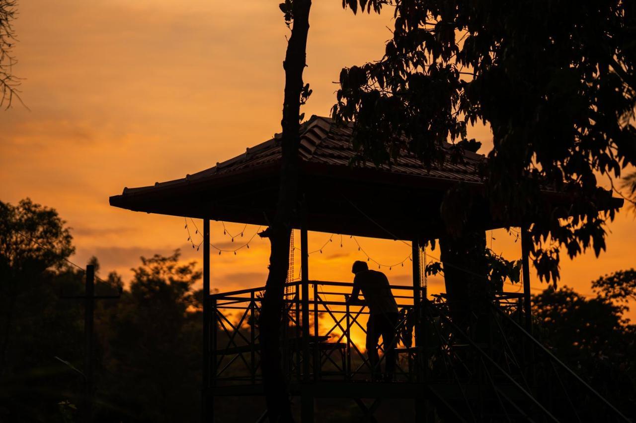 Zostel Coorg, Madikeri旅舍 外观 照片